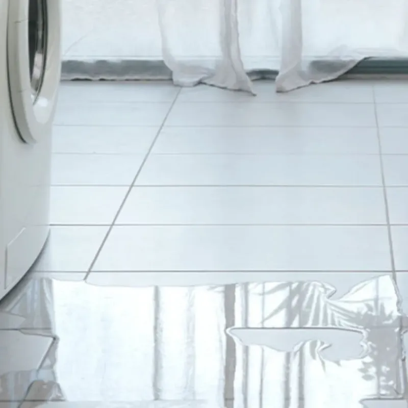 Appliance Leak Cleanup in Sarasota County, FL