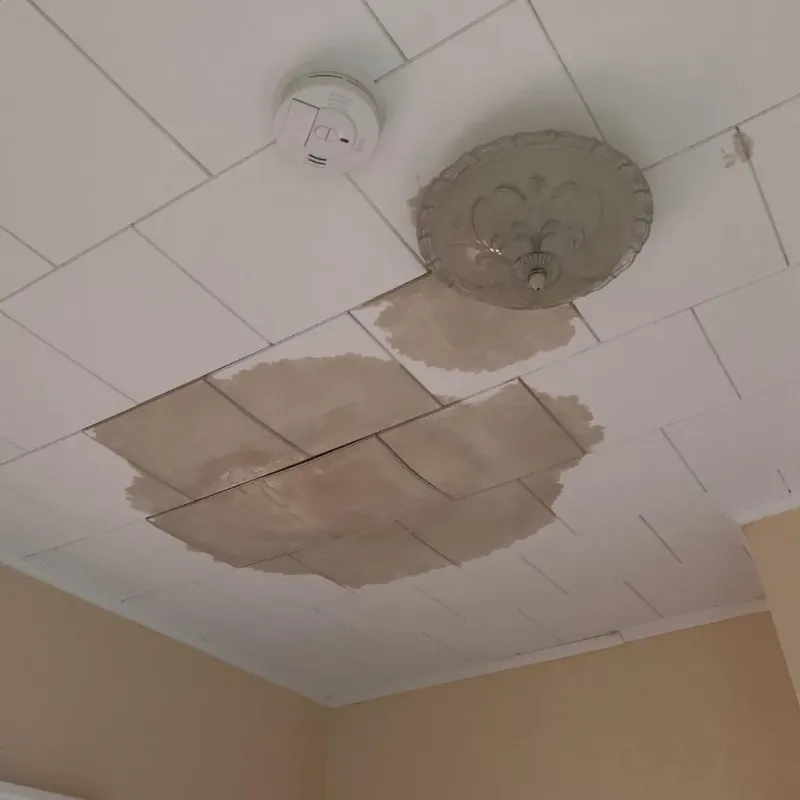 Ceiling Water Damage Repair in Sarasota County, FL