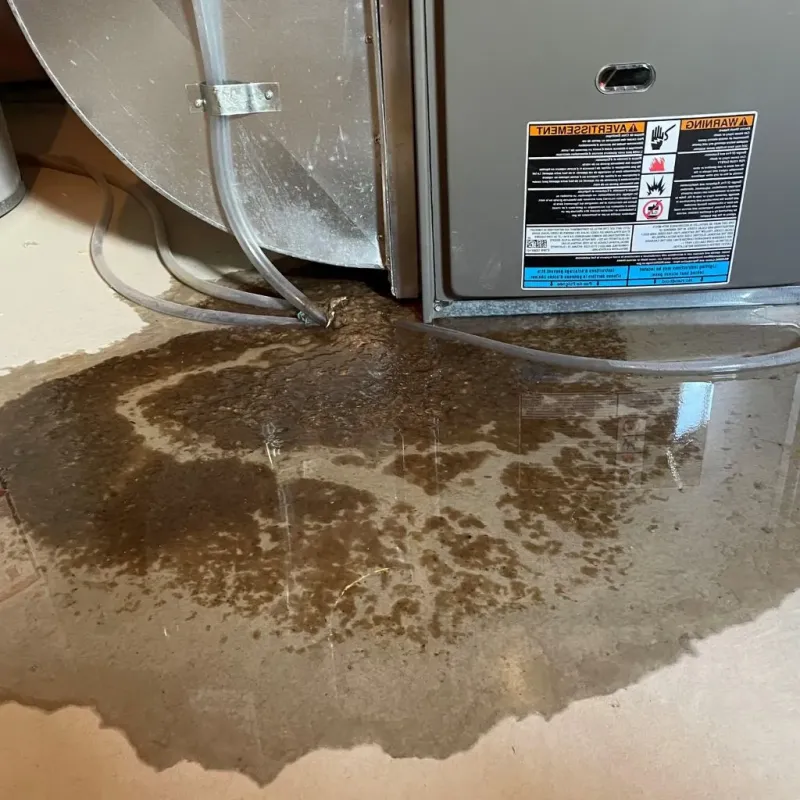 Pipe Burst and Leak Restoration in Sarasota County, FL